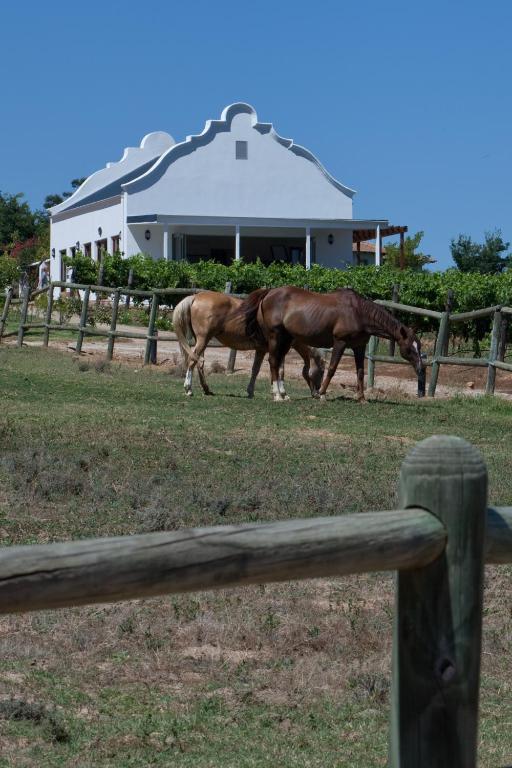 Dunstone Country House Wellington Kültér fotó